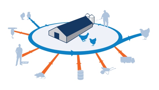 Biosecurity graphic.